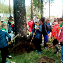 Акция "Посади дерево" при ДДТ ДиМ